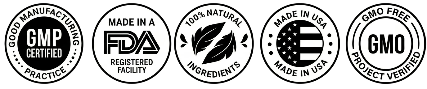 MemoHive quality and manufacturing seals